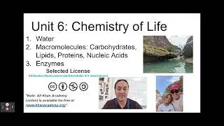 Chemistry of Life: Water, Biological Macromolecules, Enzymes