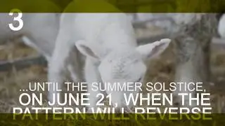 Spring Equinox 2018