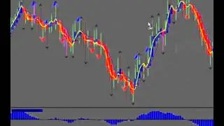 7 Basic Forex Rules for Beginners, Simplify Your Forex Trading Education