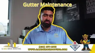 Why Gutter Maintenance is Crucial for Your Home's Health | Salisbury MD | G and Bros Roofing