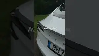Carbon Spoiler for Tesla Model 3 