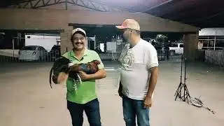 ‼️🐓‼️🐓 JULIO PULIDO, GRIZZLY FARM 🐓‼️🐓‼️