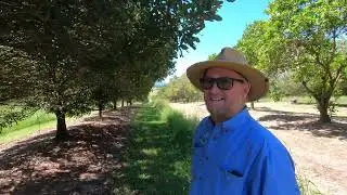 The Macadamia Show - Episode 22