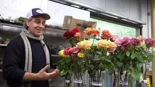 New Rose Varieties & Why Red Roses Cost So Much at Valentine's