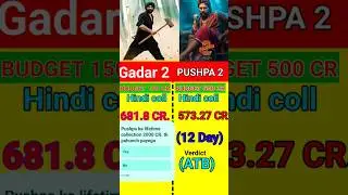 Pushpa 2 vs gadar 2 collection, pushpa 2 collection,#gadar2 #alluarjun #pushpa2