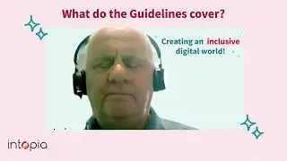 What do the Guidelines cover? - Guidelines on Equal Access to Digital Goods and Services