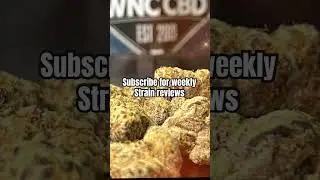 Strain reviews #music #phonk #remix #art #cbd #cannabiseducation #cannabislifestyle