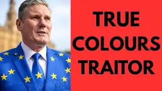 Starmer's Brexit Surrender: Open Borders for 80 Million