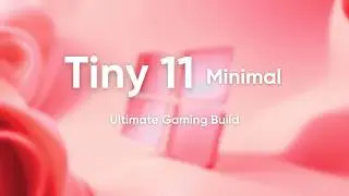 Минималистичный Tiny 11 | Размер 3 ГБ | 256 МБ ОЗУ | Превосходит все бенчмарки