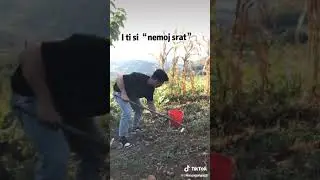 Kinesce kopa 