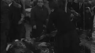 CAPÃO DE FREAMUNDE - 1968