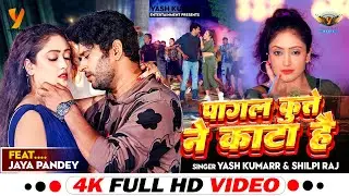 #Video | पागल कुत्ते ने काटा है | Yash Kumarr & Shilpi Raj | Pagal Kutte Ne Kata Hai | Bhojpuri Song