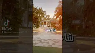 #￼ Beautiful#day#Palm tree#Water#Florida#like#Follow#Share#fypyoutube #fypシ゚ #explore # fyp