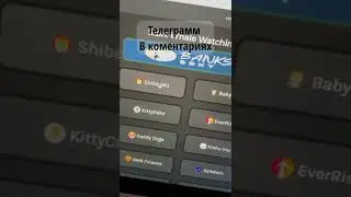 #терралуна