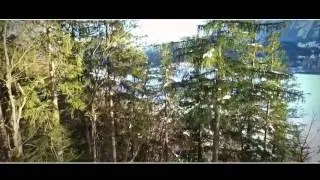 DJI Phantom 4 / Tap Fly
