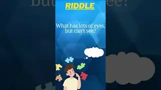 What has lots of eyes, but can&rsquo;t see?