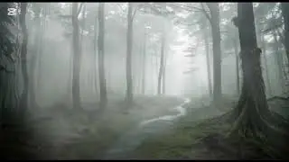 Horror story They Locked the Doors&hellip; and Never Came Back | Forest Asylum