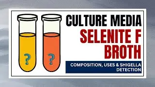 Selenite F Broth Explained | Composition, Uses & Shigella Detection