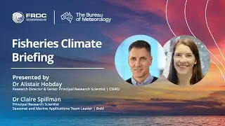 Marine Climate Briefing #4: Summer 2025