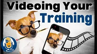 Become Your Own Dog Training Coach With This Video Strategy #133 #podcast