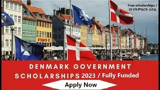 Lifeasapa Undergraduate Scholarship in Denmark// Denmark scholarship// undergraduate program