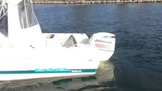 1997 23' Wellcraft - Excel Walk around