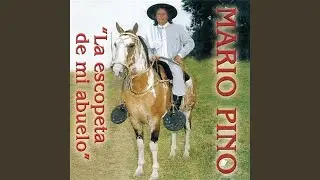 Los Overos