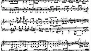 Beethoven Sonata No 32 in C Minor Pogorelich