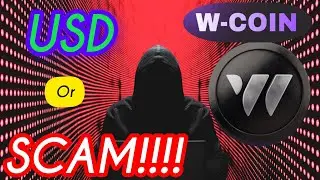 Is W Coin a SCAM or the REAL DEAL?