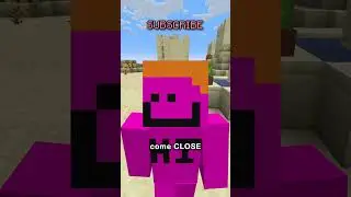 the silliest little place in minecraft!