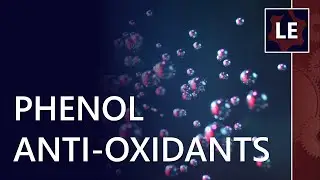How do phenols work with a amine antioxidant additives?