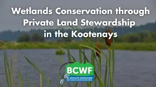 Wetlands Conservation through Private Land Stewardship in the Kootenays
