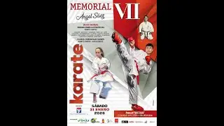 VII MEMORIAL ANGEL SAEZ - TATAMIS 1, 2 Y 3
