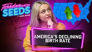 America&rsquo;s Declining Birth Rate