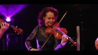 (Mozart) The Cosmopolitan String Quartet boek je natuurlijk bij www.bandshopper.nl