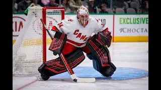 Toronto Maple Leafs free agent signings & news!