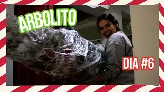 Tour del Patio | Navivlogs Dia 6 | RebeO