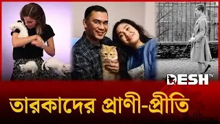 তারকাদের থেকেও জনপ্রিয় পোষা প্রাণী! | Celebrity Pets | Popular Pets | Animal lovers | Desh TV