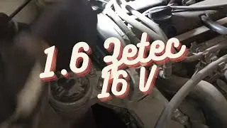 Cambio correa de distribución motor Ford 1.6 16 V gasolina paso a paso PARTE 2