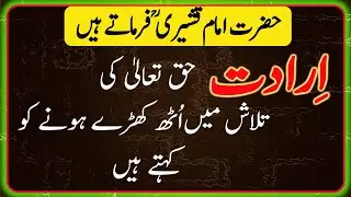 Murid | تصوف | SUFISM | Islamic Hour | qusheri | sufi aqwal quotes | golden words | aqwal e zareen