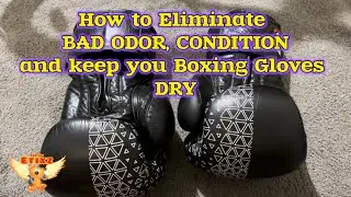 How to Eliminate BAD ODOR, CONDITION & keep your Boxing Gloves DRY