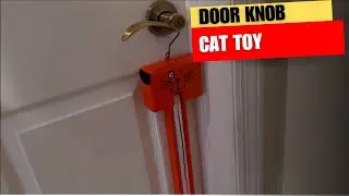 MOODY PET Fling-AMA-String Cat Toy Review