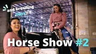 Horse Show Number Two of the Year with Annie...PLUS Breeding Indy!