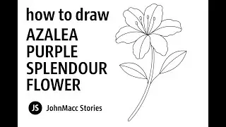 How to Draw Azalea Purple Splendour Flower | Johnmacc Stories