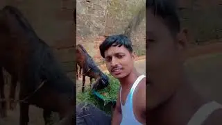 Tu bewafa Hai 😱😢💔💔#shortvideo #synthwave