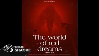 WUNTER - DakRU (Official Visualizer)