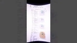 Jedag Jedug DDoS NFO VDS Premium