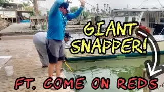 Mangrove SNAPPER Fishing by the Port Mansfield DOCKS?! (Ft. ComeOnReds)