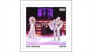 Lady Gaga - Do What U Want (Slowed)