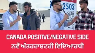Canada Positive/Negative Review? Lets Ask From New International Students🇮🇳|Gopi Mall #punjabi